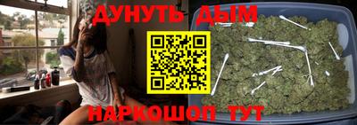 прущие грибы Пенза