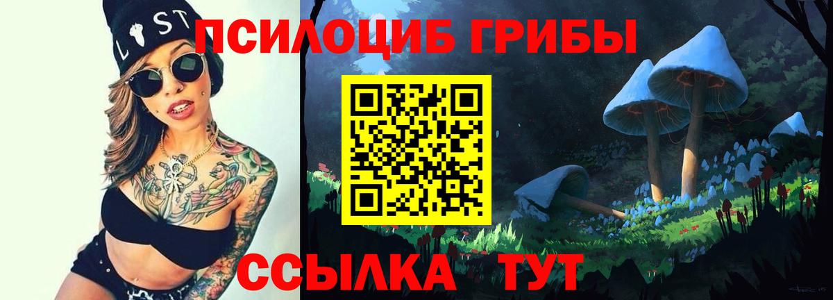 Галлюциногенные грибы Psilocybe  Вход с VPN  Ногинск 