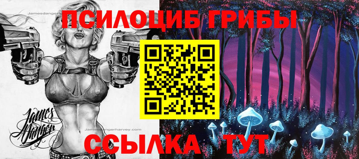 Галлюциногенные грибы Psilocybine cubensis Ногинск